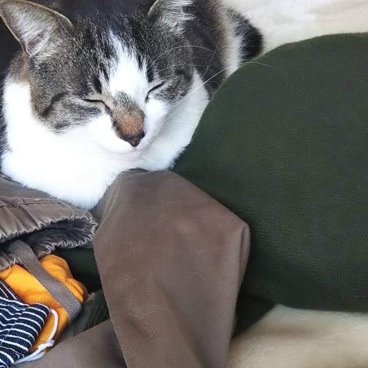 9be7d89f 5c01 4d4c ba02 96a9a66c3e8a 1617758630171