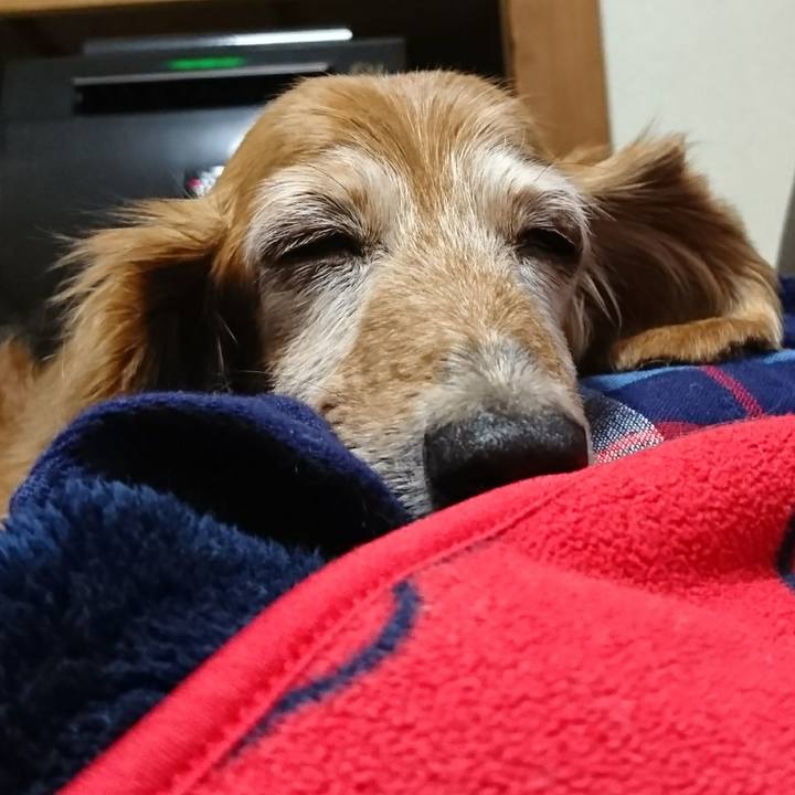 9be82514 0a5c 488f 9aeb f19e907356cc 1509155457658