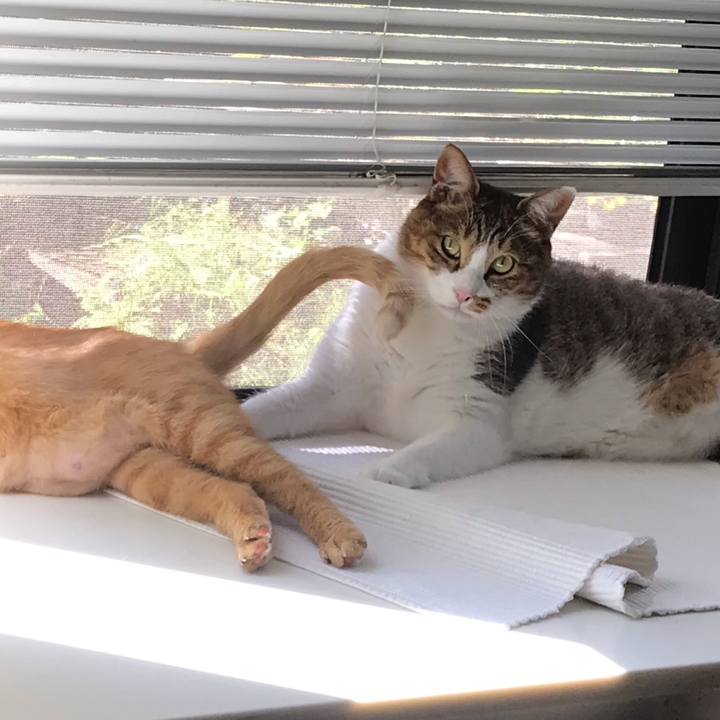 9be84312 2fc5 444a 911d 216ee5b8dc4d 1564976888741