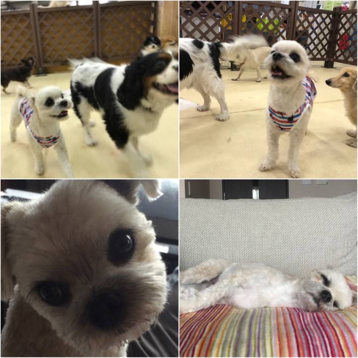 9be8908e 5b5f 47c8 a03b 8af63c32dc7d 1526297559165