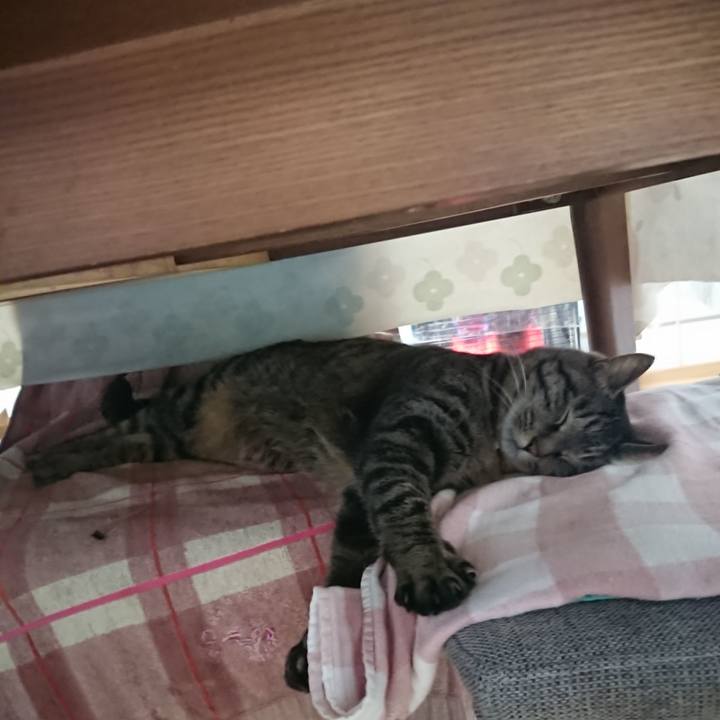 9be8dfb3 0ed9 47bc b955 e9c48b8c40e4 1644701734515