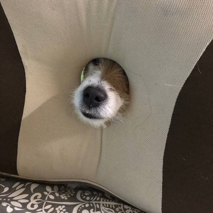 9be9606d f777 4686 9582 9e3b2b75fdc9 1579847651019