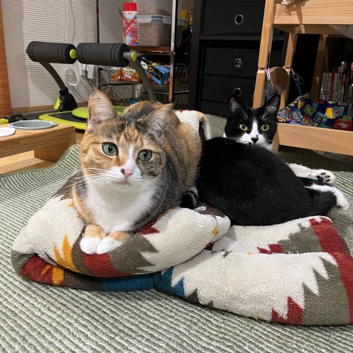 9be9a8dd 24c2 41b7 83fa df408cd2f3ab 1735370204263