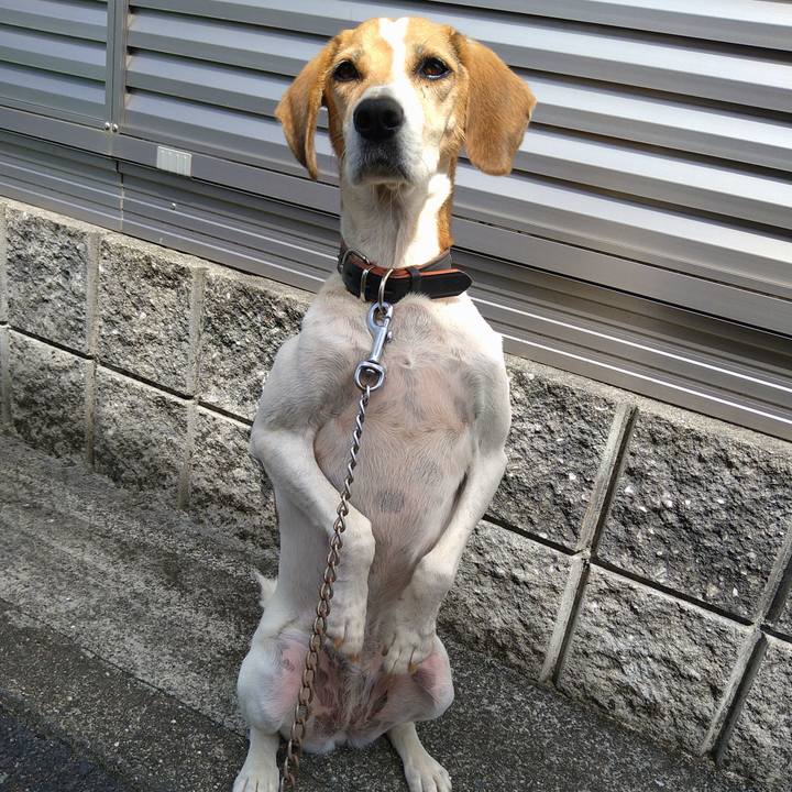 9be9b434 12b0 4572 a9f4 477febc86e67 1662537606250