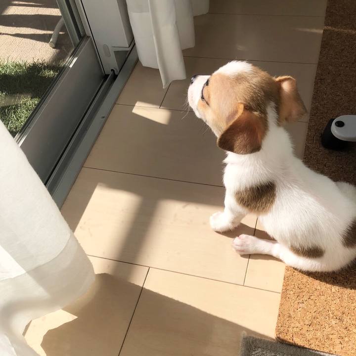 9be9cd62 a794 49c4 be5e 896c63d5847c 1543483385843