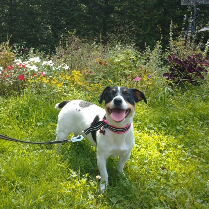 9be9ce8b e7af 49ca bfcd 2879cdf175f2 1569902613290