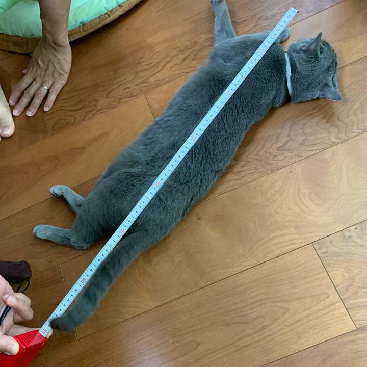 9be9e2be 6803 4a37 a463 97b16059323c 1658922800288