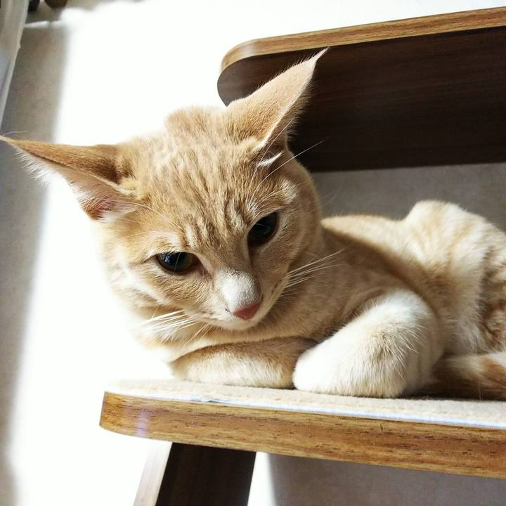 9be9f0ef 536f 4cf4 8923 038eb03f4449 1551049541012