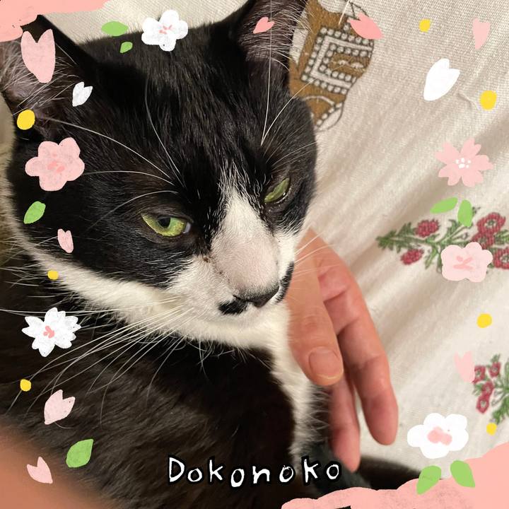 9bea0a1d 0d50 4cb5 aec4 85d2b8ccfb21 1710998036011