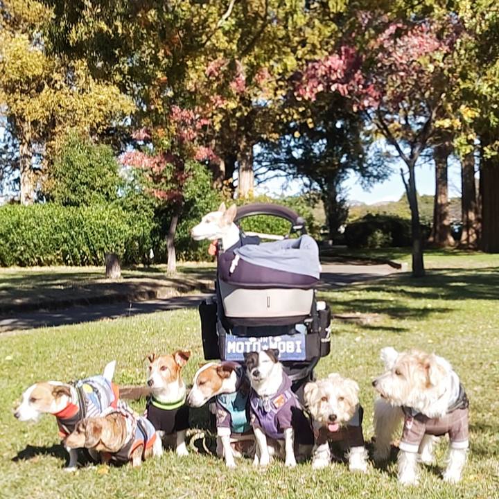 9bea5159 81c8 4aa4 8978 ce8fb127e800 1762171313440