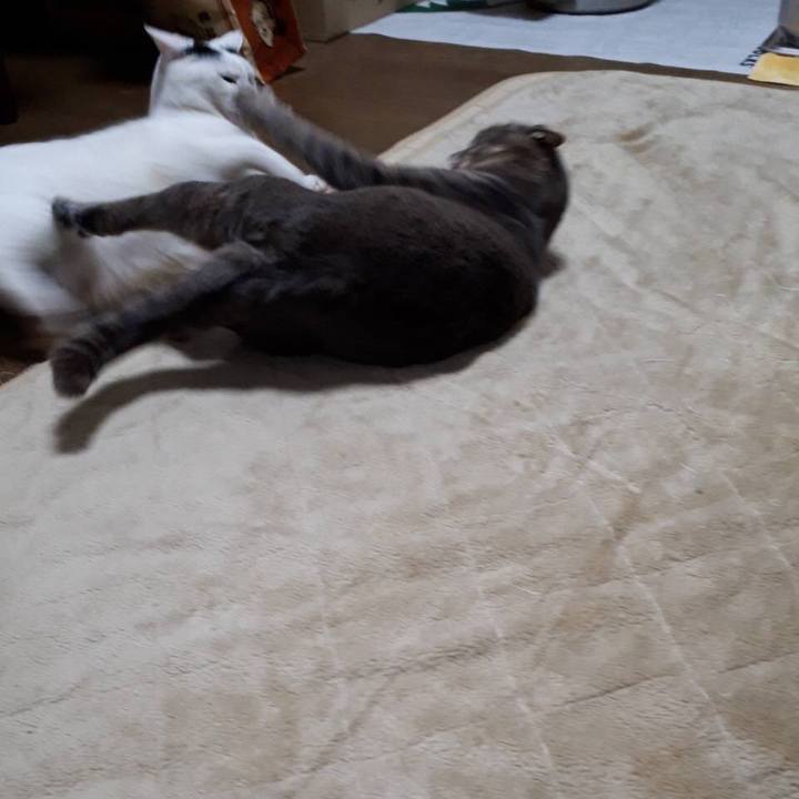 9bea563d 7a7f 42a8 836d 8cc7fbab1ac3 1511349733658