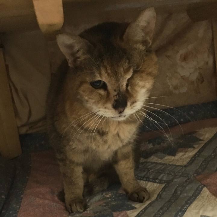 9bea7917 b61f 4271 bf46 5efcade602e2 1528495275601