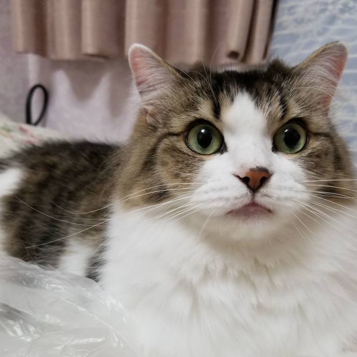 9bea8001 8fd4 4e88 b0d0 40c2ef85b844 1537574733143