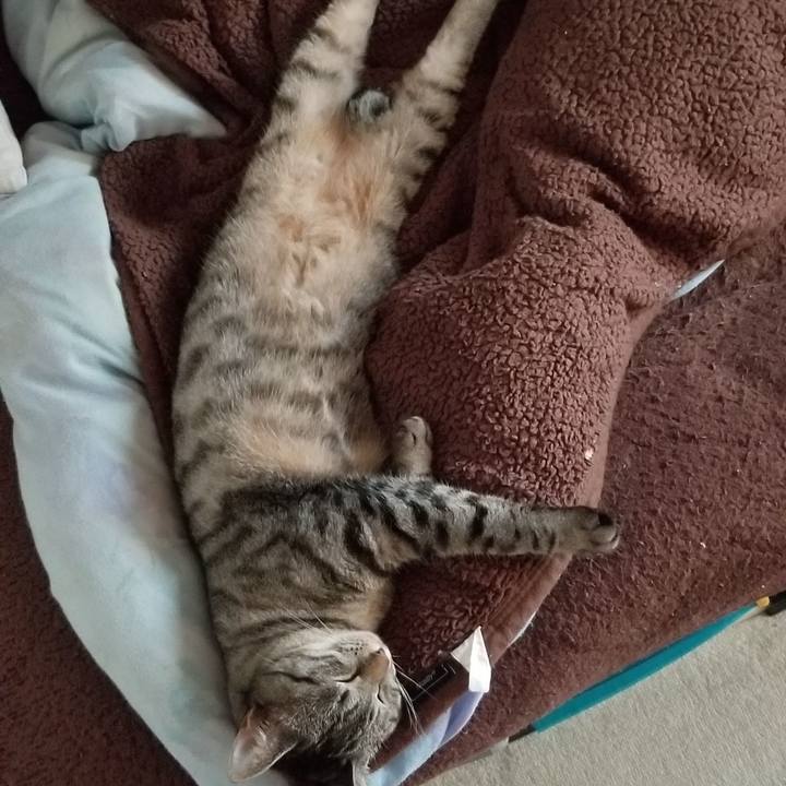 9bea9644 48f9 4db5 8ffd ff7dc436c958 1690907491618