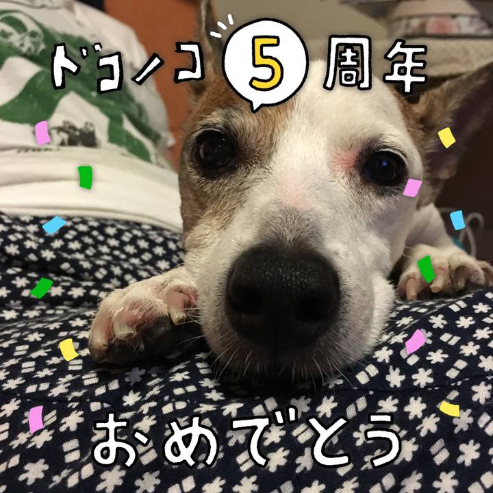 9bea977d 802a 4e61 88bd c05d3d222212 1622958886137