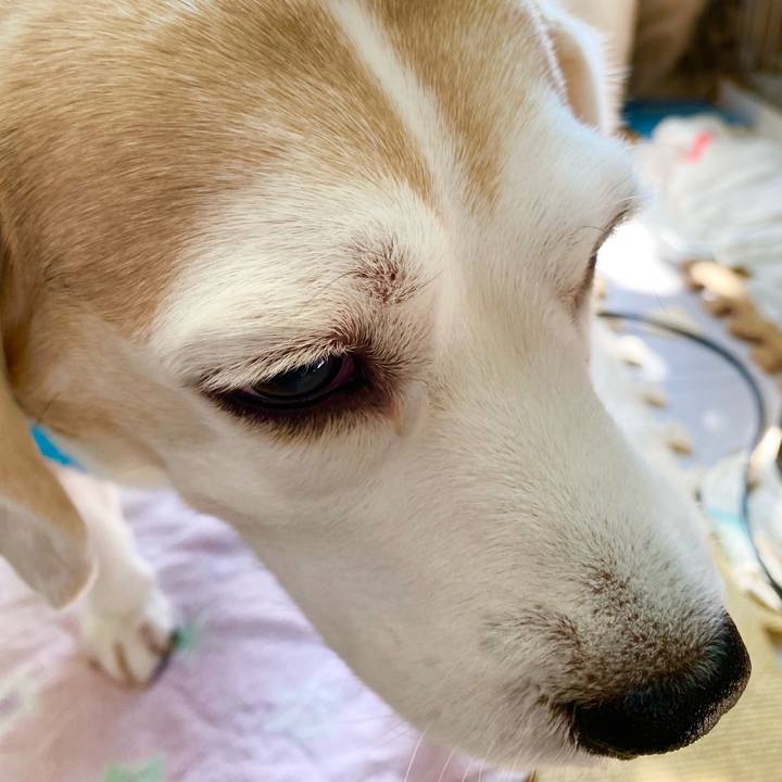 9beaa546 b116 4ceb 917c daedbe53cb6a 1612154003053