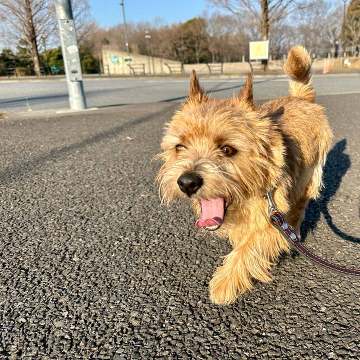 9beabbb2 efe4 41a7 a084 ed6afd892aaf 1742650165427