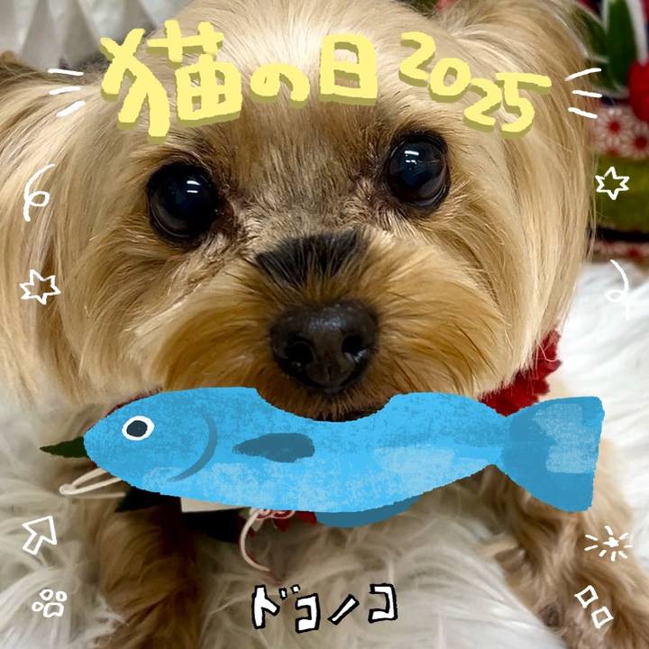 9beaead0 7a1f 4d02 a0e2 3dfba0969dfb 1740184163569