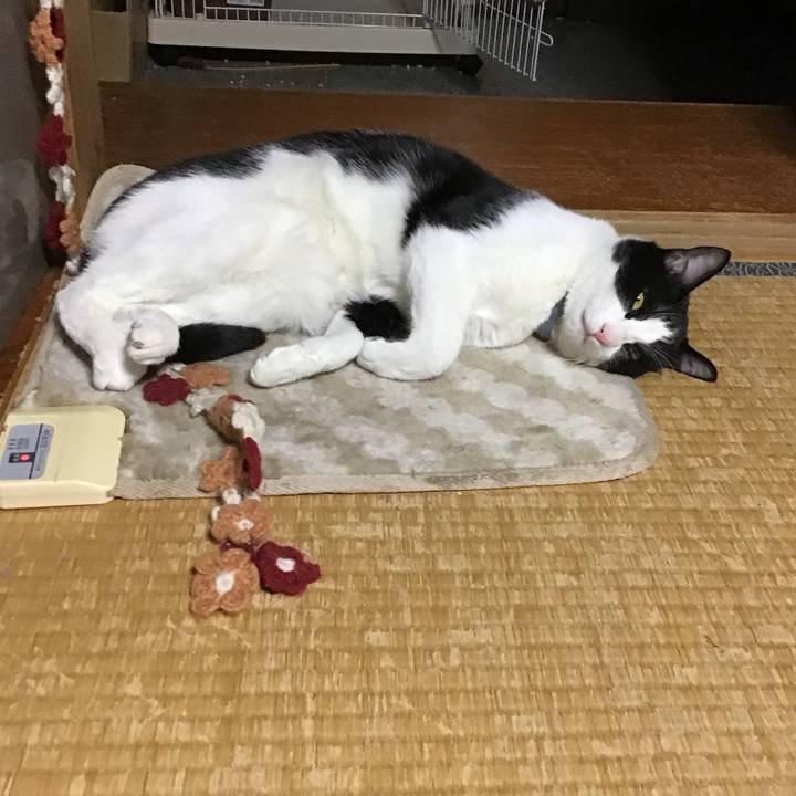 9beb175c 4fcc 4e46 b28d e7a7d711ea5f 1651402665823