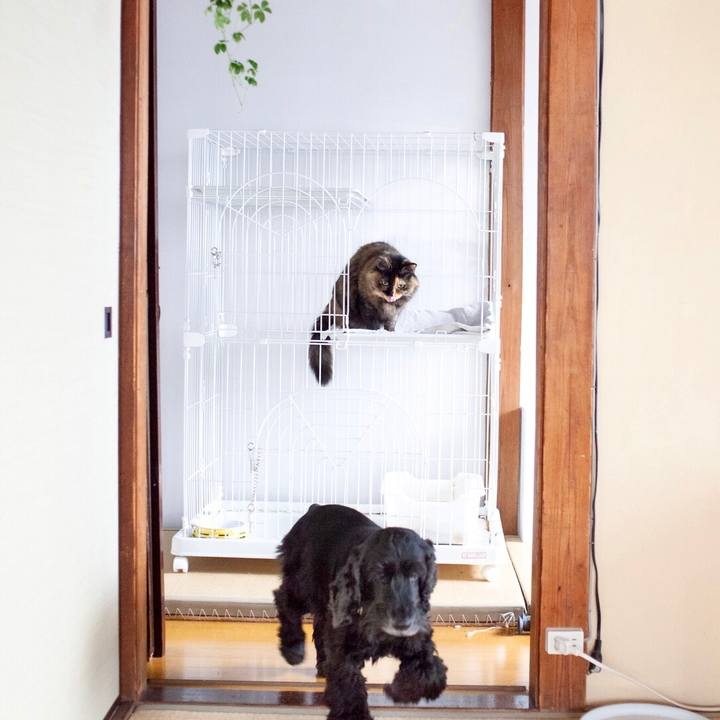 9beb2ae7 31e7 4449 bbd5 2c76fdf33ea9 1578542533332