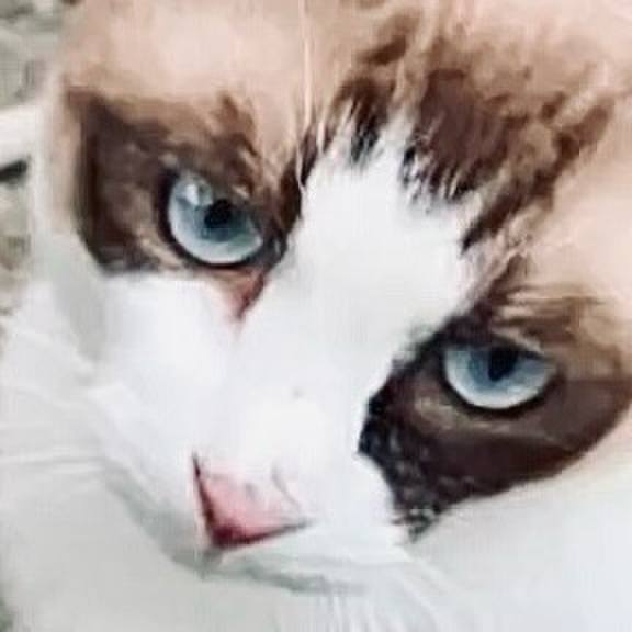 9beb32bc cd07 4d5c bd2b ab0b6b5ea8a4 1728098089402