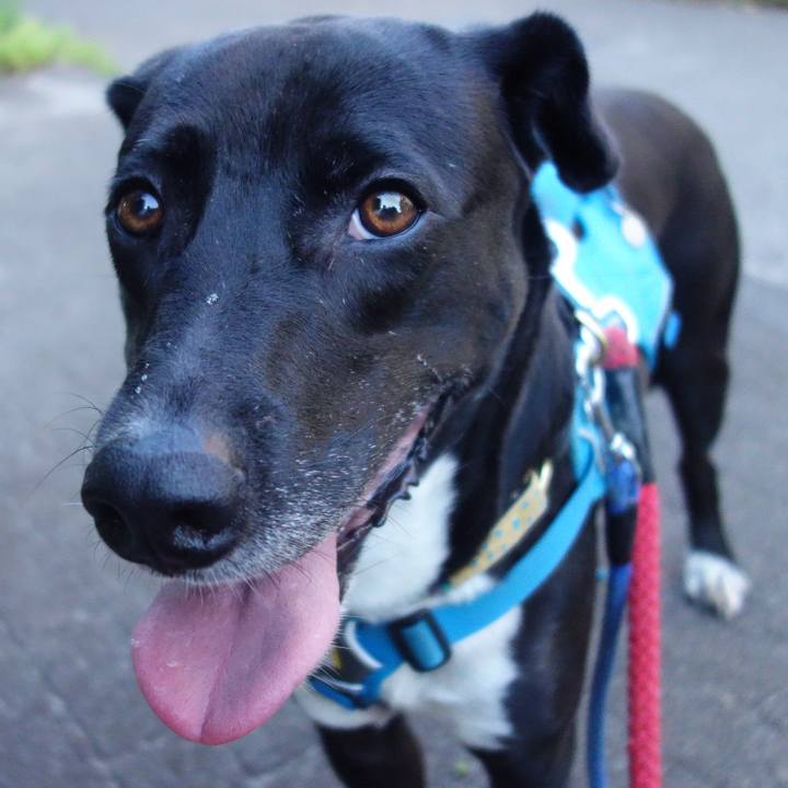 9beb6e6d 41ec 4954 98ed f7fc48a9a4fd 1623320776475