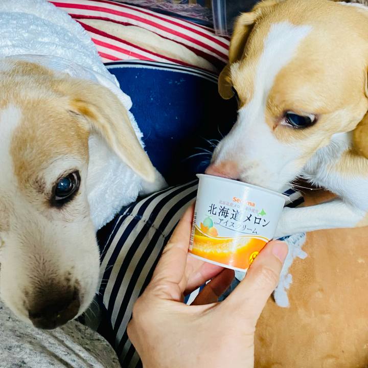 9bebb6ba edfd 4659 bf92 0ff88bab2a12 1612954520142