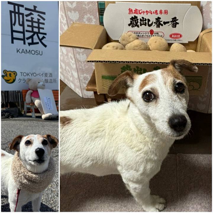 9bebccfe 210e 4991 9de3 39f6268040c2 1773061026077