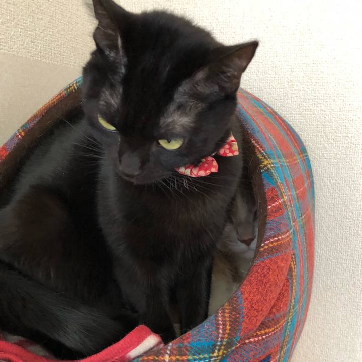 9bebee94 6f1a 41a6 9553 476bf3765846 1518407039587