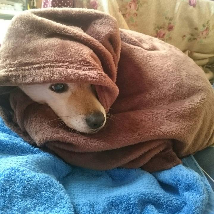 9bec5eed 740c 4d69 8089 3537c887ce5b 1514598554993