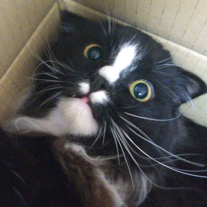 9bec73b5 4354 475f 9eb6 e0c6a47181ed 1660136324394