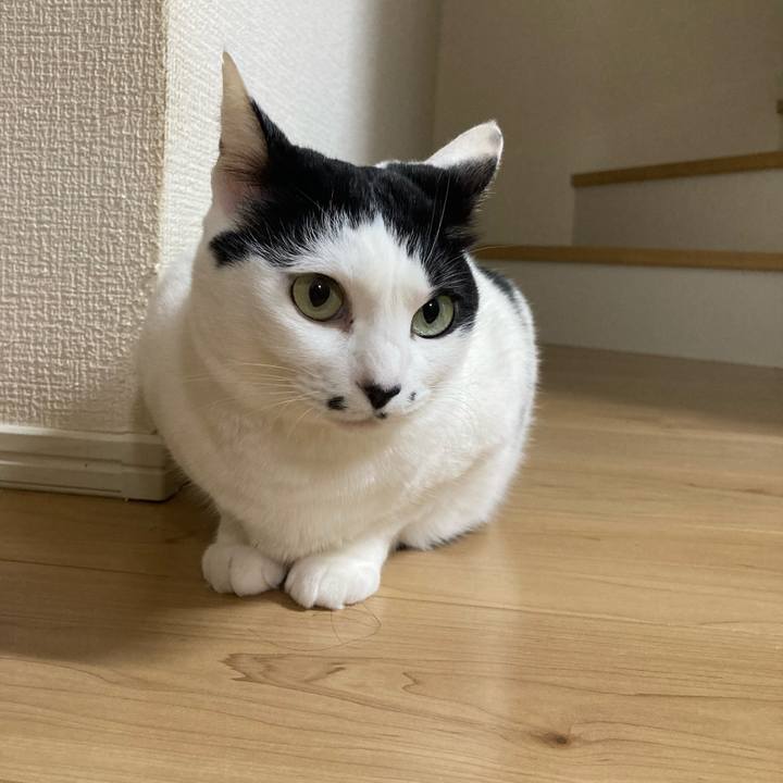 9bec89dc 7717 42c1 a6f1 4528b4007df0 1771447883261