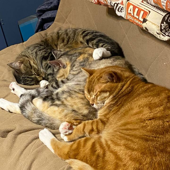 9becab2c 987b 4495 8ae2 4e3ef9de2e9b 1616329778021