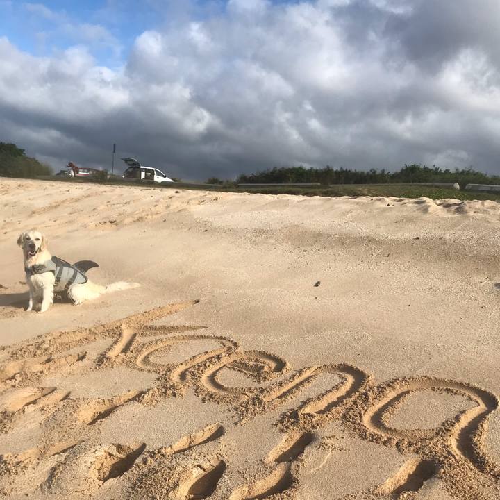 9becc129 ecff 47a2 acfd 25a50b3c8a90 1542871317227