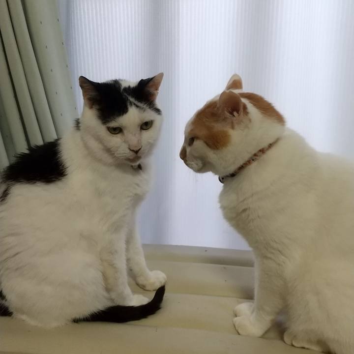 9becc718 8827 425e 8554 9cd19bce1b37 1691234472186