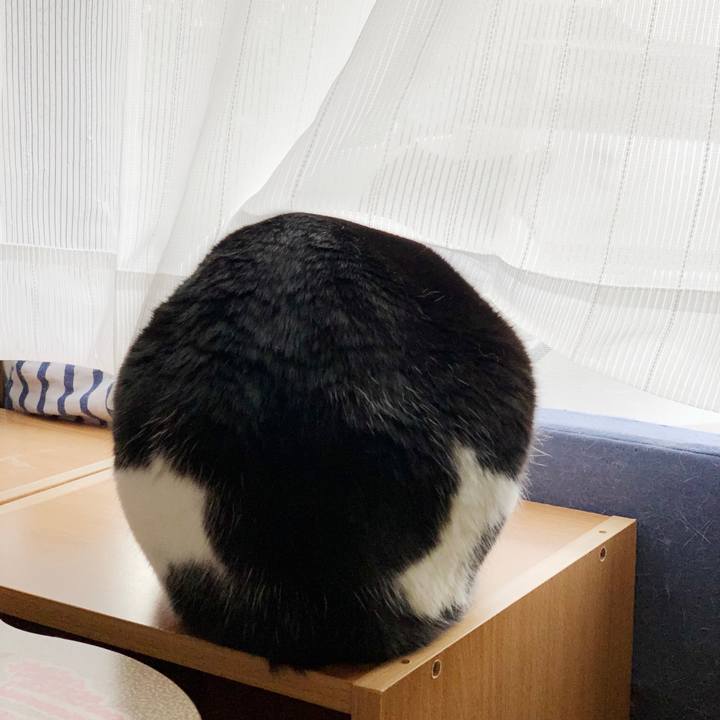 9becca75 4661 4599 874c 91b88017ea6e 1551058627808