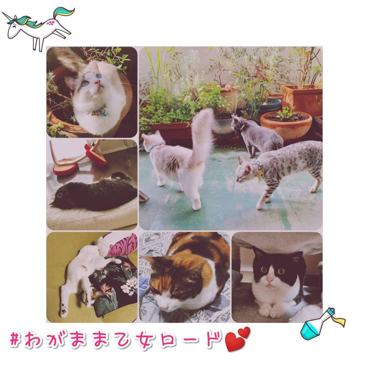 9bece495 956d 4d79 ba24 feb12497dfca 1567774071665