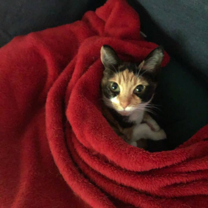 9becfd1f 0ff4 4aaf 8ac9 22975fbfea57 1526812915171