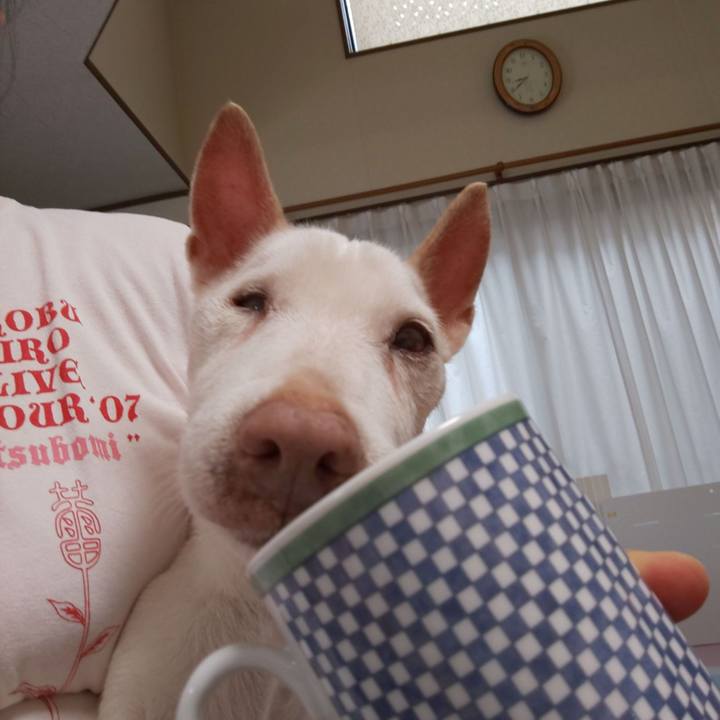 9bed0478 b989 4253 b546 5ef78e123fa8 1562889187492