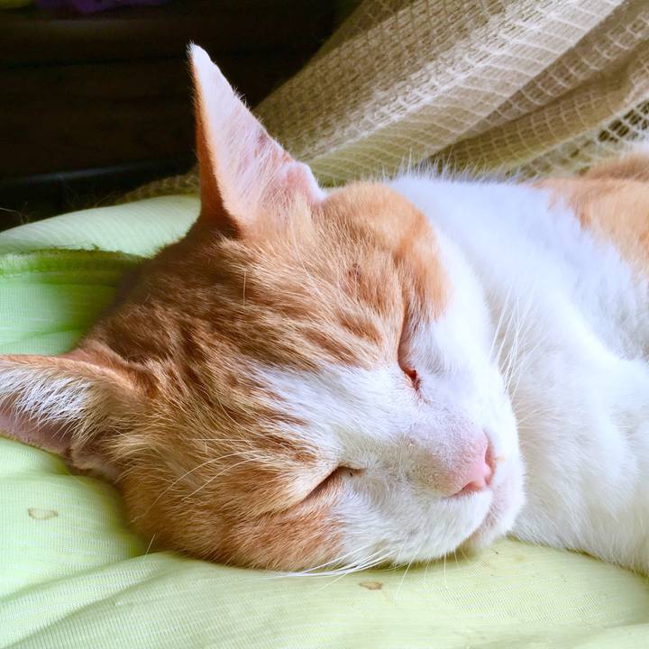 9bed2d6c fcf3 452d ab72 eaad5151418b 1566199516480