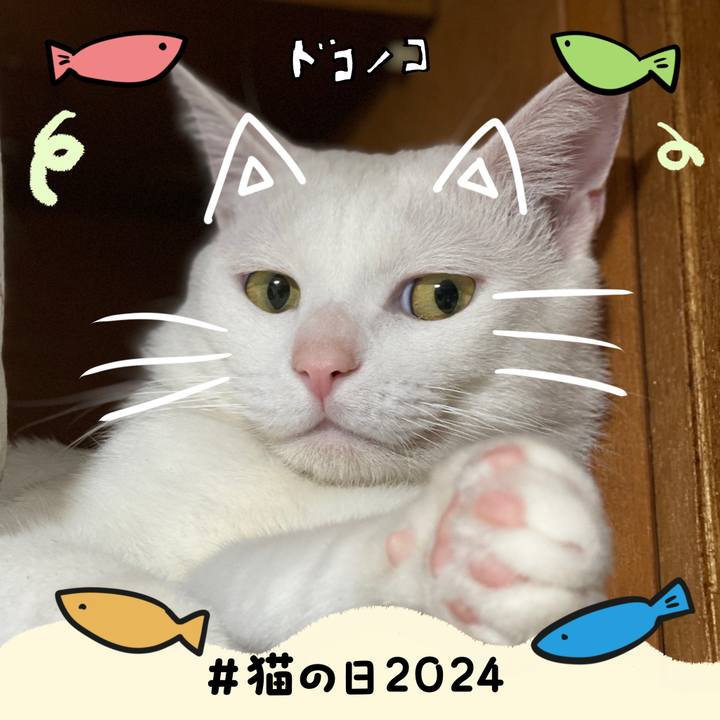 9bed3d7f 46dd 4a88 8df1 df65578a624f 1708592567104