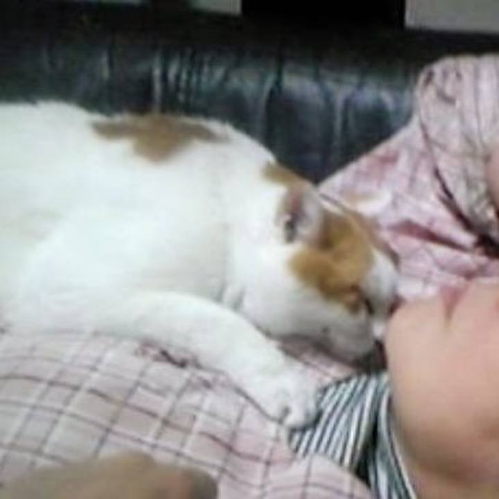 9bed42cc b13f 4d87 a49c a13a1514c21b 1677114043104