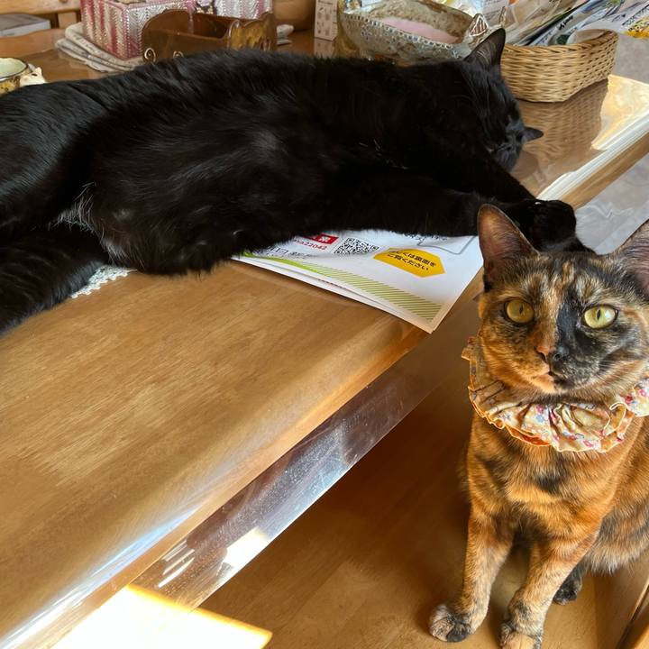 9bed579a 470d 4e27 bb86 c1b6adc8cfaa 1651275648580