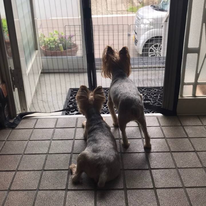 9bed73dc d89b 4782 aa6f e879620d8a52 1597572661736