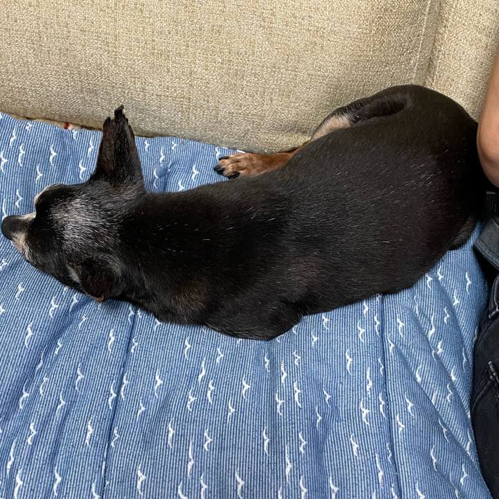 9beda1c7 0ee9 48fe af81 3078a7e1fb06 1594647148662