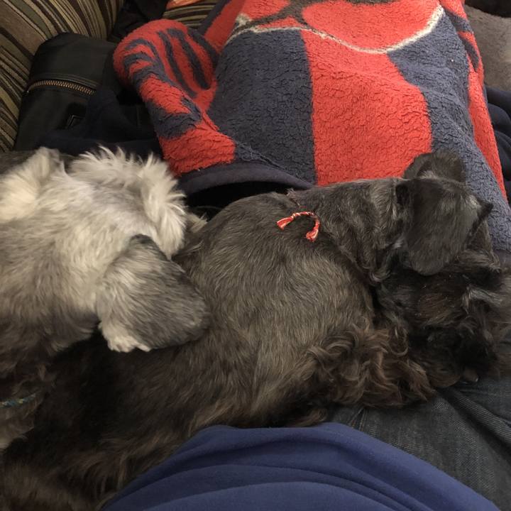 9bedab4e 2092 4cdf b5eb f854cf45b5f1 1544234311208