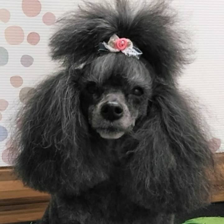 9beddb4d 591c 4d2f 8ec6 1e907147a565 1712641369373