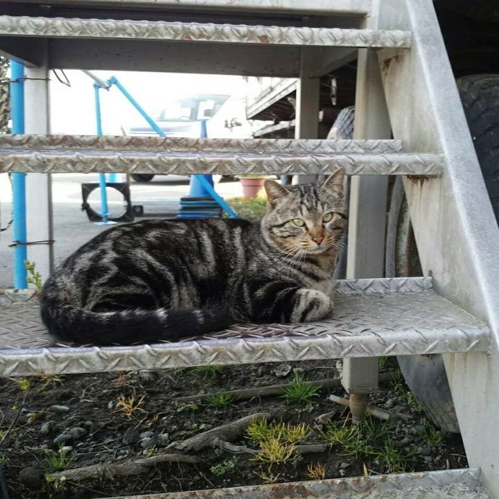 9beddd89 cc90 4a0f b625 dd4b68a0889a 1522288764096