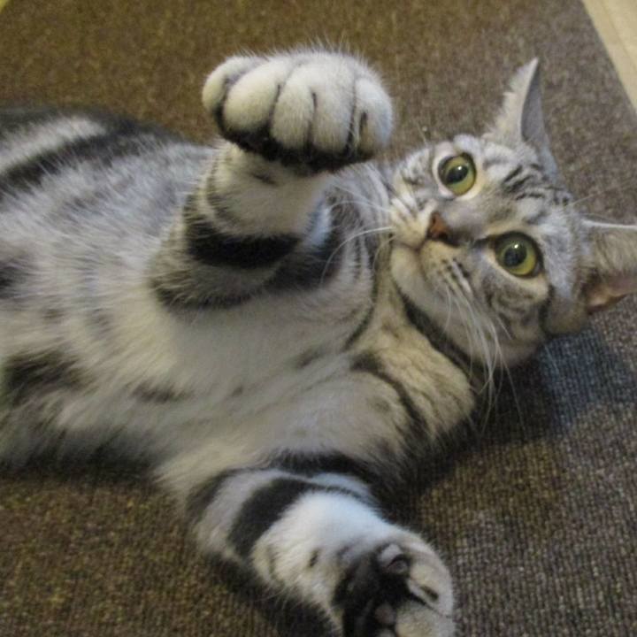 9bede674 45ea 4091 a573 583467a3fa80 1568462340567