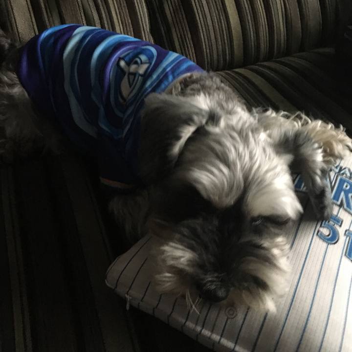 9bee4b0c 4cab 4c51 8568 cad41d4e0490 1601705810737